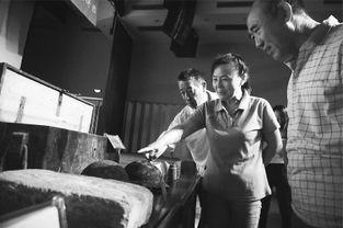 南口战役电影在线观看,血战长城，英雄不朽