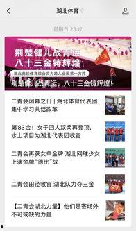 湖北新闻官方爆料视频,揭秘背后真相  第3张